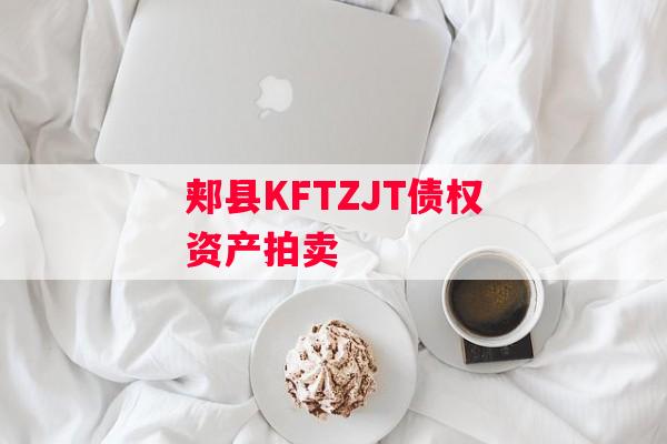 郏县KFTZJT债权资产拍卖