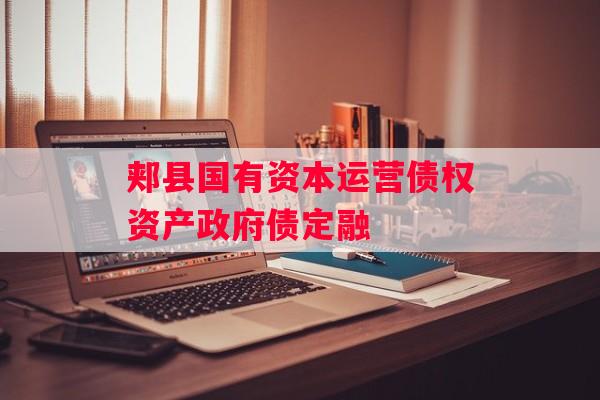 郏县国有资本运营债权资产政府债定融