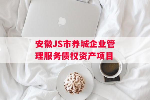 安徽JS市养城企业管理服务债权资产项目