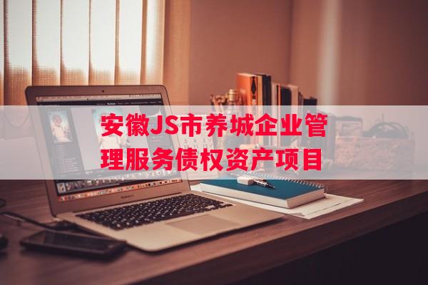 安徽JS市养城企业管理服务债权资产项目