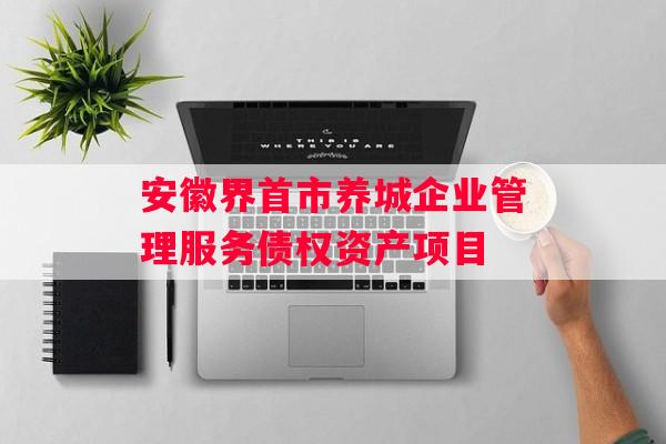 安徽界首市养城企业管理服务债权资产项目
