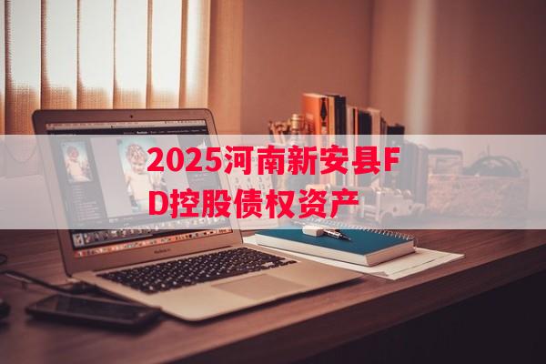 2025河南新安县FD控股债权资产
