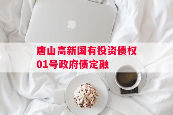唐山高新国有投资债权01号政府债定融