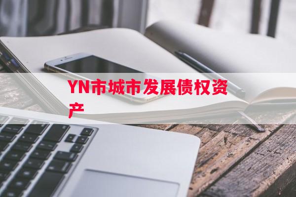 YN市城市发展债权资产