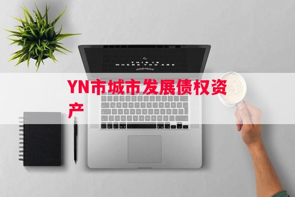 YN市城市发展债权资产