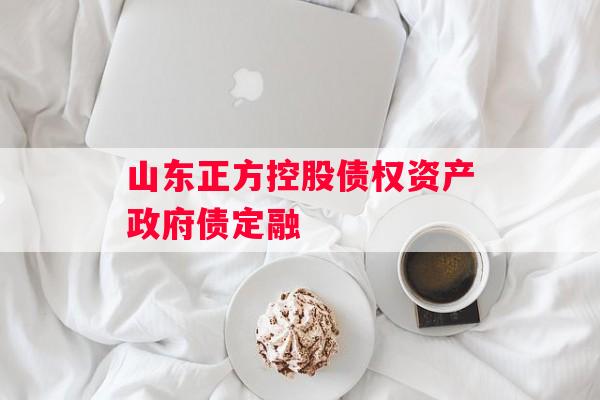 山东正方控股债权资产政府债定融
