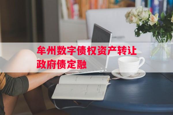 牟州数字债权资产转让政府债定融