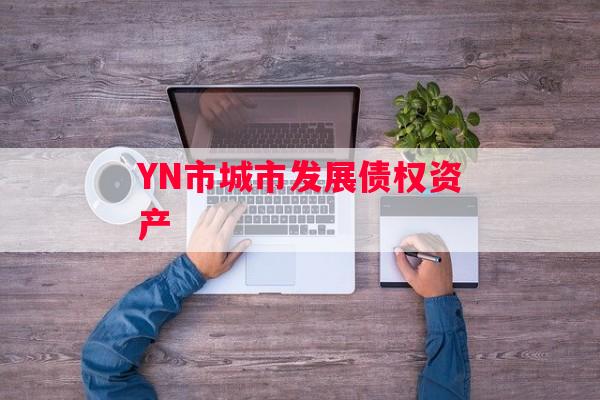 YN市城市发展债权资产