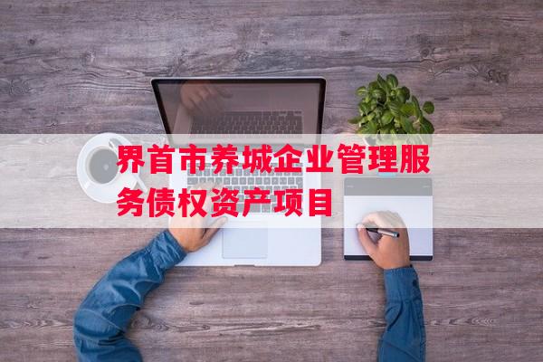 界首市养城企业管理服务债权资产项目