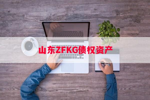 山东ZFKG债权资产