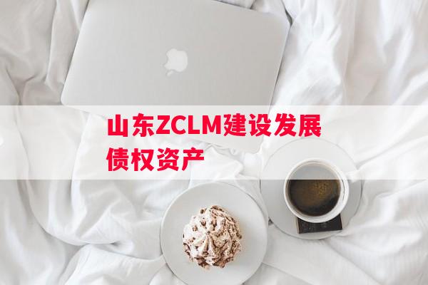山东ZCLM建设发展债权资产