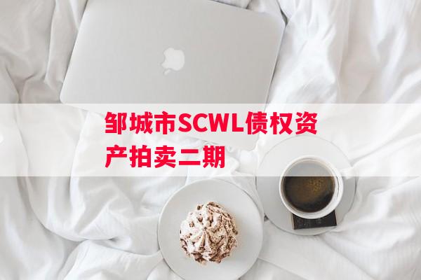 邹城市SCWL债权资产拍卖二期
