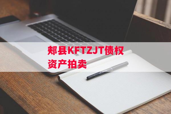 郏县KFTZJT债权资产拍卖