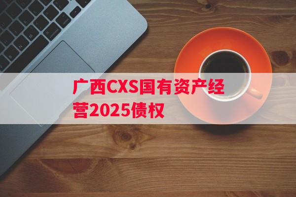广西CXS国有资产经营2025债权