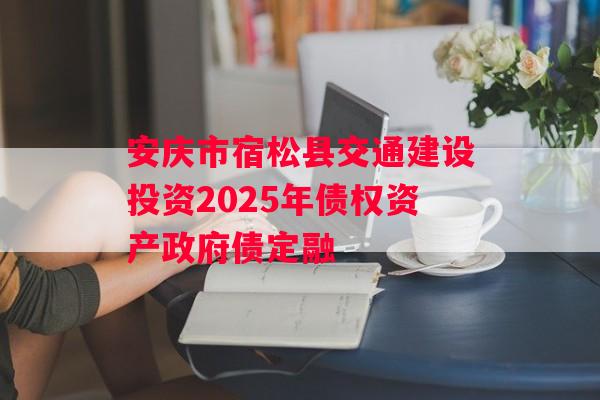 安庆市宿松县交通建设投资2025年债权资产政府债定融