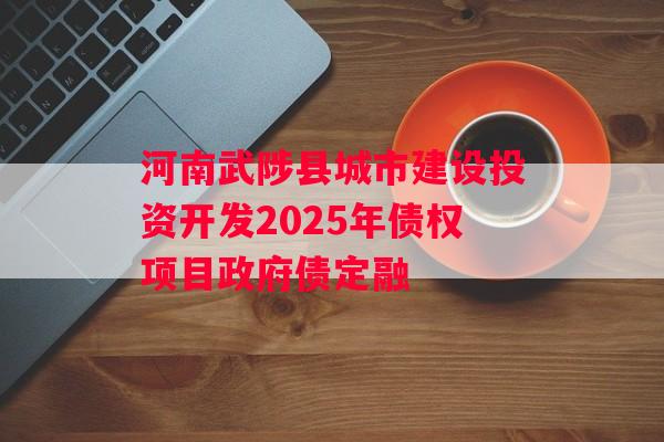 河南武陟县城市建设投资开发2025年债权项目政府债定融