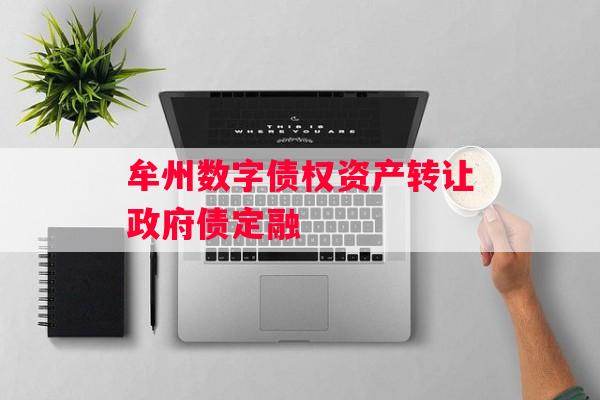 牟州数字债权资产转让政府债定融