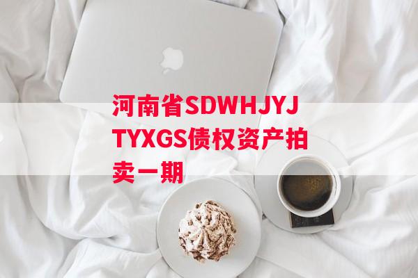 河南省SDWHJYJTYXGS债权资产拍卖一期