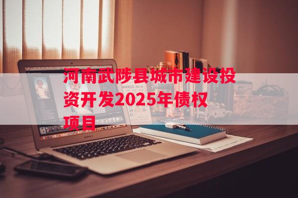 河南武陟县城市建设投资开发2025年债权项目