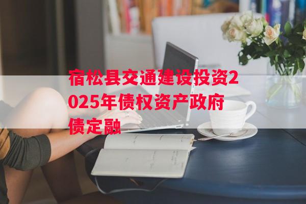 宿松县交通建设投资2025年债权资产政府债定融