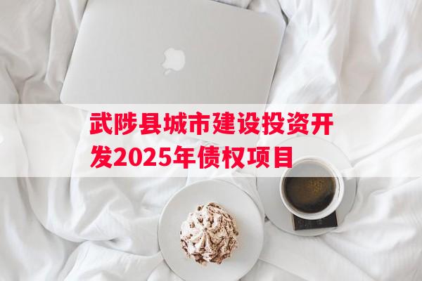 武陟县城市建设投资开发2025年债权项目