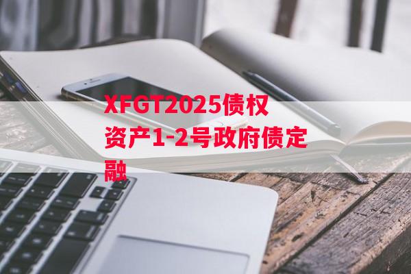 XFGT2025债权资产1-2号政府债定融