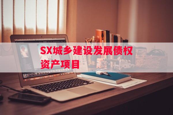 SX城乡建设发展债权资产项目