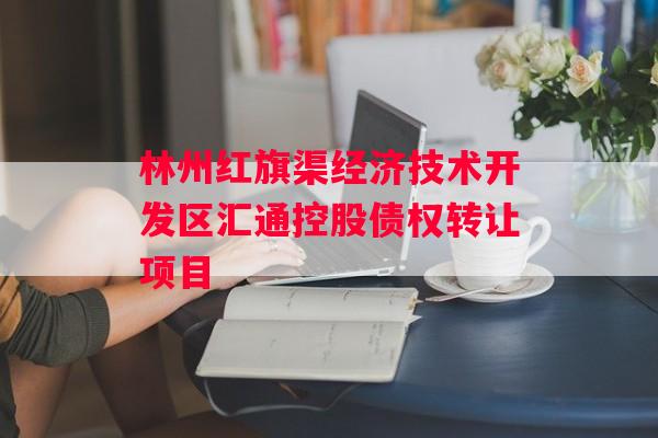 林州红旗渠经济技术开发区汇通控股债权转让项目