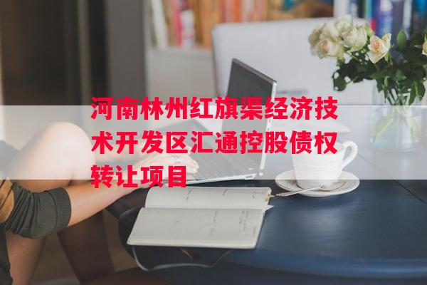 河南林州红旗渠经济技术开发区汇通控股债权转让项目