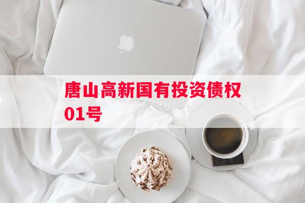 唐山高新国有投资债权01号