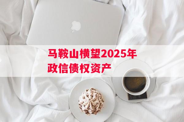 马鞍山横望2025年政信债权资产