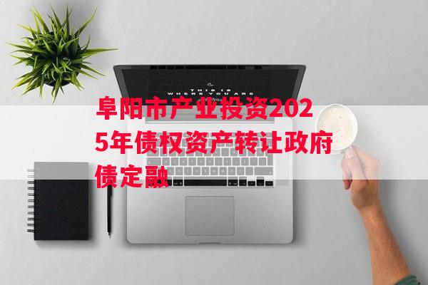 阜阳市产业投资2025年债权资产转让政府债定融