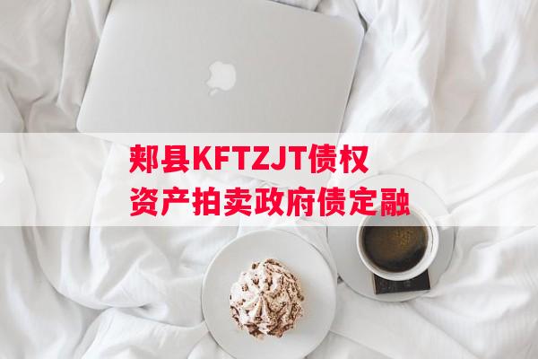 郏县KFTZJT债权资产拍卖政府债定融