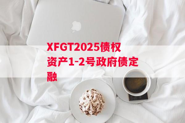 XFGT2025债权资产1-2号政府债定融