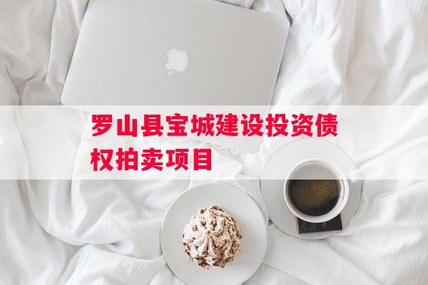 罗山县宝城建设投资债权拍卖项目