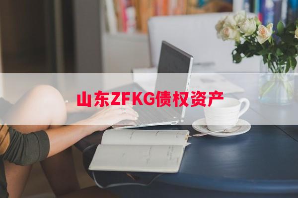 山东ZFKG债权资产