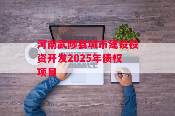 河南武陟县城市建设投资开发2025年债权项目