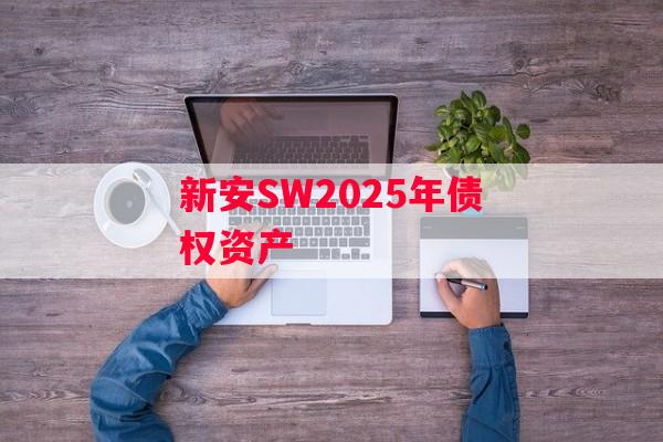 新安SW2025年债权资产