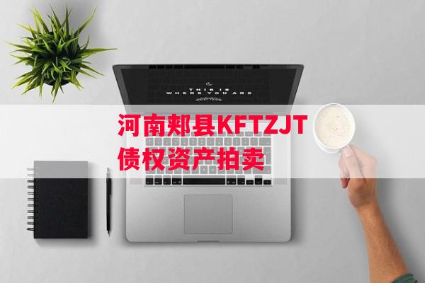 河南郏县KFTZJT债权资产拍卖