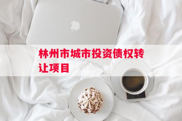 林州市城市投资债权转让项目