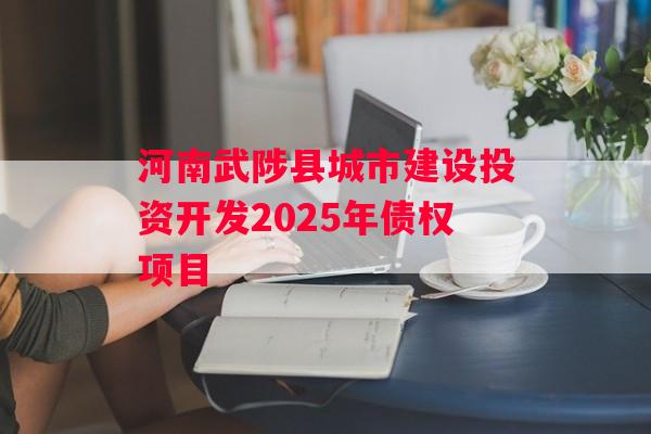 河南武陟县城市建设投资开发2025年债权项目