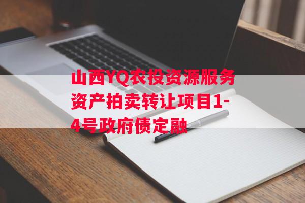 山西YQ农投资源服务资产拍卖转让项目1-4号政府债定融