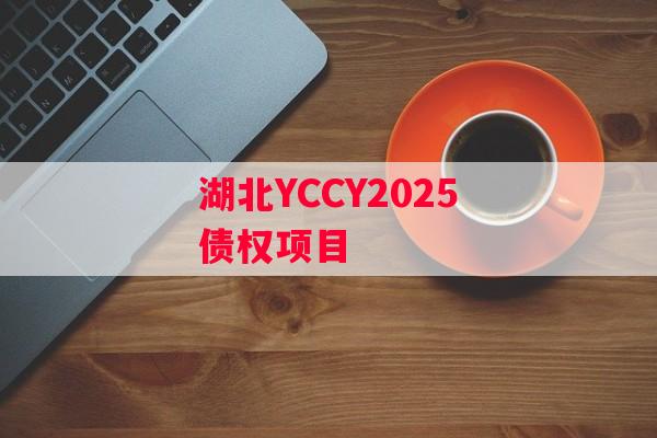 湖北YCCY2025债权项目