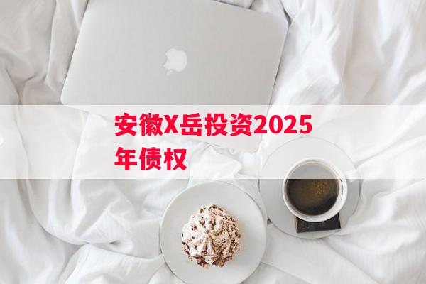 安徽X岳投资2025年债权