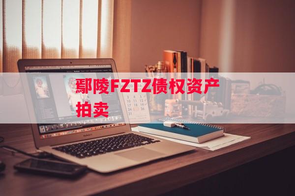 鄢陵FZTZ债权资产拍卖