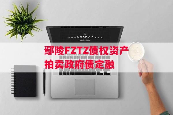 鄢陵FZTZ债权资产拍卖政府债定融