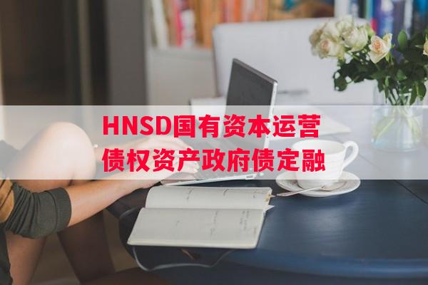 HNSD国有资本运营债权资产政府债定融