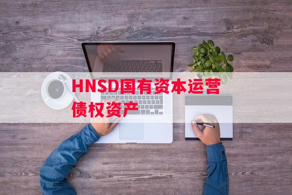 HNSD国有资本运营债权资产