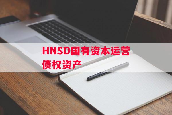 HNSD国有资本运营债权资产