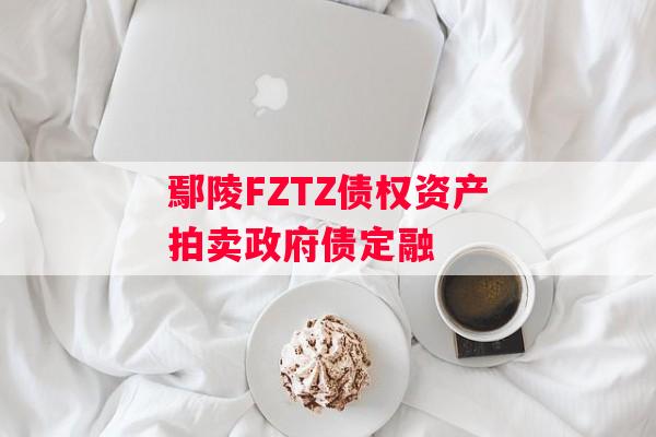 鄢陵FZTZ债权资产拍卖政府债定融